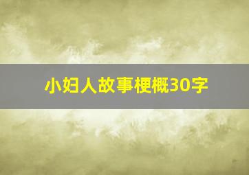 小妇人故事梗概30字