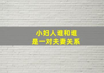 小妇人谁和谁是一对夫妻关系