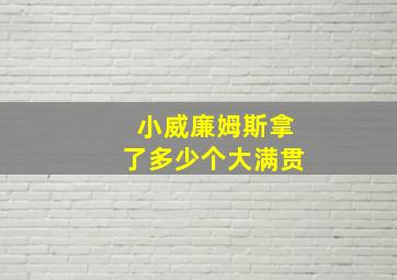 小威廉姆斯拿了多少个大满贯