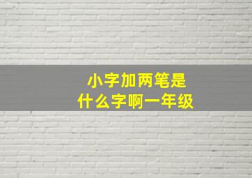 小字加两笔是什么字啊一年级