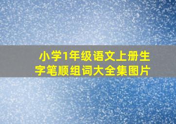 小学1年级语文上册生字笔顺组词大全集图片