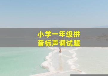 小学一年级拼音标声调试题