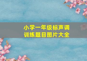 小学一年级标声调训练题目图片大全