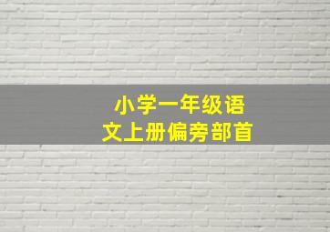 小学一年级语文上册偏旁部首