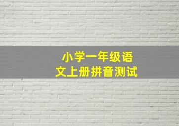 小学一年级语文上册拼音测试