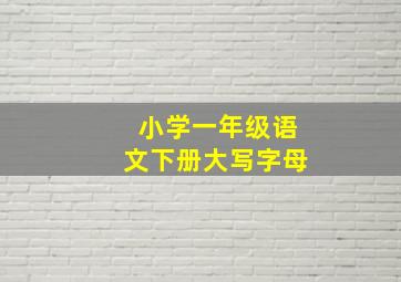 小学一年级语文下册大写字母