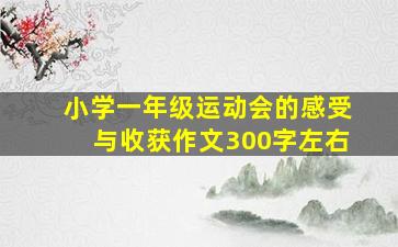 小学一年级运动会的感受与收获作文300字左右