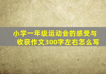 小学一年级运动会的感受与收获作文300字左右怎么写