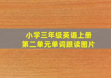 小学三年级英语上册第二单元单词跟读图片