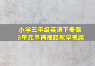 小学三年级英语下册第3单元单词视频教学视频