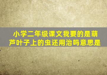 小学二年级课文我要的是葫芦叶子上的虫还用治吗意思是