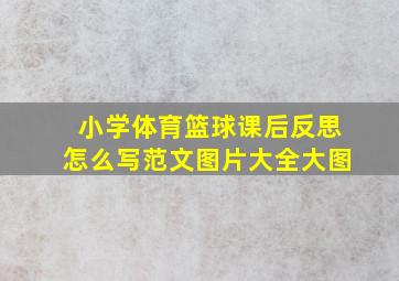 小学体育篮球课后反思怎么写范文图片大全大图