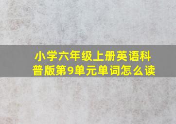 小学六年级上册英语科普版第9单元单词怎么读