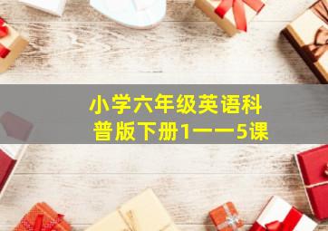 小学六年级英语科普版下册1一一5课