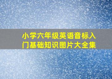 小学六年级英语音标入门基础知识图片大全集