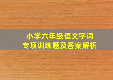 小学六年级语文字词专项训练题及答案解析