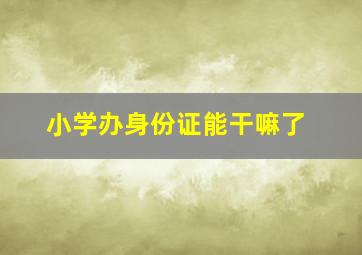 小学办身份证能干嘛了