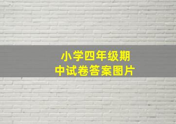 小学四年级期中试卷答案图片