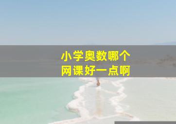 小学奥数哪个网课好一点啊