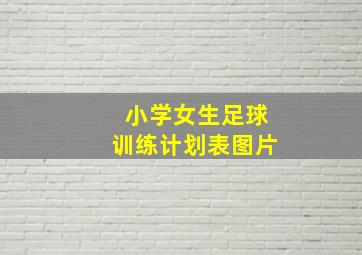 小学女生足球训练计划表图片