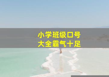 小学班级口号大全霸气十足