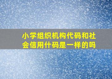 小学组织机构代码和社会信用什码是一样的吗