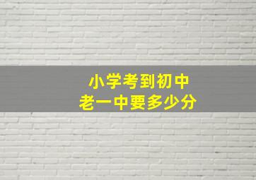 小学考到初中老一中要多少分