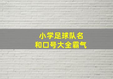 小学足球队名和口号大全霸气