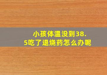 小孩体温没到38.5吃了退烧药怎么办呢