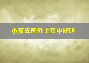 小孩去国外上初中好吗