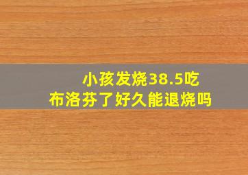 小孩发烧38.5吃布洛芬了好久能退烧吗