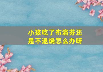 小孩吃了布洛芬还是不退烧怎么办呀