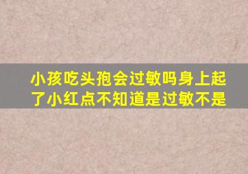 小孩吃头孢会过敏吗身上起了小红点不知道是过敏不是