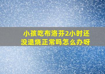 小孩吃布洛芬2小时还没退烧正常吗怎么办呀