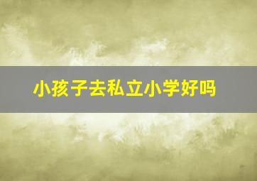 小孩子去私立小学好吗