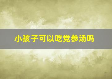 小孩子可以吃党参汤吗