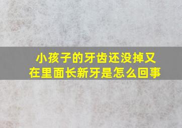 小孩子的牙齿还没掉又在里面长新牙是怎么回事