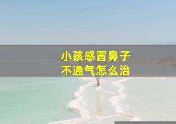 小孩感冒鼻子不通气怎么治