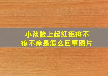 小孩脸上起红疙瘩不疼不痒是怎么回事图片