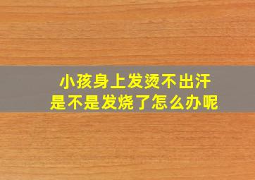 小孩身上发烫不出汗是不是发烧了怎么办呢