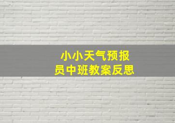 小小天气预报员中班教案反思