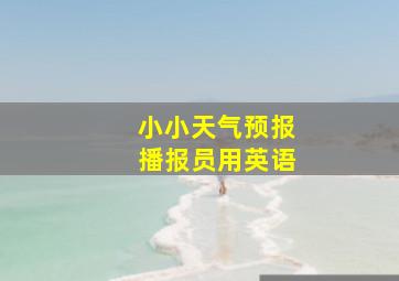 小小天气预报播报员用英语