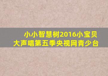 小小智慧树2016小宝贝大声唱第五季央视网青少台