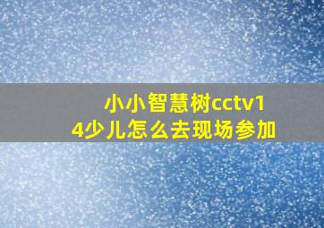 小小智慧树cctv14少儿怎么去现场参加