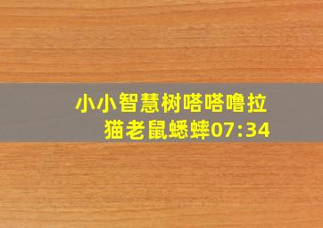 小小智慧树嗒嗒噜拉猫老鼠蟋蟀07:34