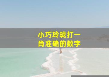 小巧玲珑打一肖准确的数字