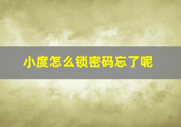 小度怎么锁密码忘了呢