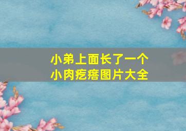 小弟上面长了一个小肉疙瘩图片大全