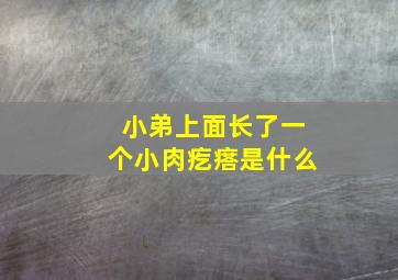 小弟上面长了一个小肉疙瘩是什么