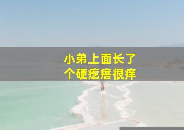 小弟上面长了个硬疙瘩很痒